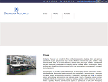 Tablet Screenshot of dpsa.com.pl